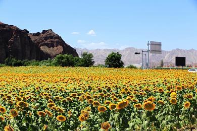 Fami通为《沙漠大冒险》给出35分高评价