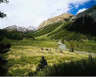 《DOTA2》IG战队前五号位Oli加盟东南亚战队Tylon