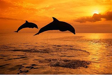 T2表示R星不会机械地更新《荒野大镖客2》